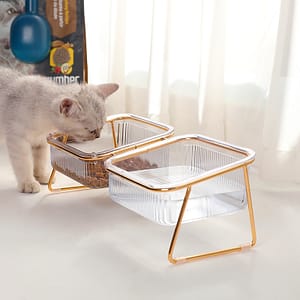 Transparent Bowl With For Easy Feeding And Hydration – Supplies For Cats Basic Bowls Shop Online at Dubai Trades
