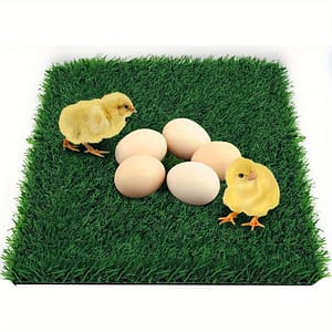 Washable Artificial Grass Chicken Nesting Pad – Perfect For Coops & Pet Gardens, Indoor/outdoor Use, 12″x12″x1 Birdcage Accessories Shop Online at Dubai Trades