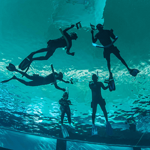 Deep Dive Dubai Surface Snorkeling Experience – Water Sports Travel, Activities & Events Shop Online at Dubai Trades