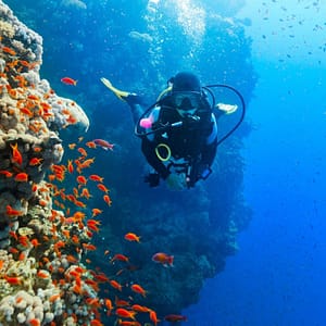 Diving Experience in Khasab – Outdoor Attractions Outdoor Attractions Shop Online at Dubai Trades