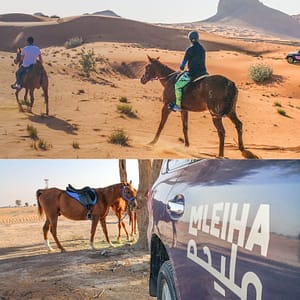 Horse Back Riding Desert Hack – Sports Events Sports Events Shop Online at Dubai Trades
