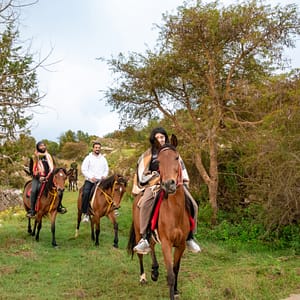Horse Riding Experience – Recently Added Experiences Recently Added Experiences Shop Online at Dubai Trades