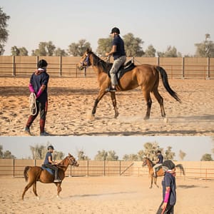 Horse Riding Training Course One Session – Sports Events Sports Events Shop Online at Dubai Trades