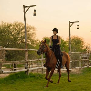Horse Riding with Open Buffet Dinner & Shows – Desert safaris Desert safaris Shop Online at Dubai Trades