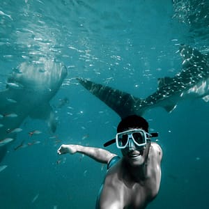 Private group Boating Experience with Dolphins Watching & Snorkeling – Sightseeing and Tours Sightseeing and Tours Shop Online at Dubai Trades