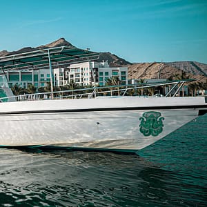 Private group Boating Experience with Snorkeling and Coastal Experience – Sightseeing and Tours Sightseeing and Tours Shop Online at Dubai Trades