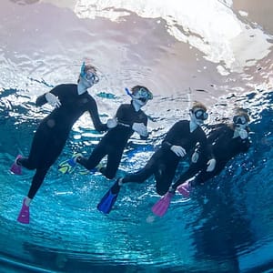 Snorkeling at Deep Dive Dubai at Deep Dive Dubai, Dubai, United Arab Emirates Activities Shop Online at Dubai Trades