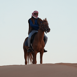 Storm Adventure – Daily Camp – Top-Rated Attractions Top-Rated Attractions Shop Online at Dubai Trades