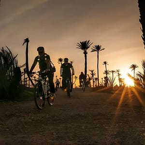 The Palmery Off-Road Bike Tour from Marrakech at M2MM+J3V, Marrakesh, Morocco Activities Shop Online at Dubai Trades 2