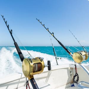 Trolling in Ocean for Big Fish – Top-Rated Attractions Top-Rated Attractions Shop Online at Dubai Trades