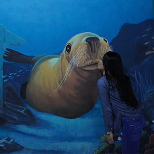 3d World Selfie Museum Dubai – Museums Museums Shop Online at Dubai Trades