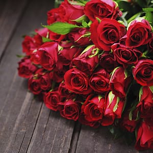 50 To 200 Roses And Card Dubai other Shop Online at Dubai Trades