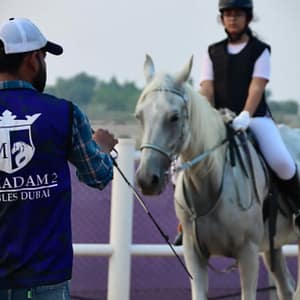 Al Madam 2 Stables, 45-Minute Horse Riding Lesson Dubai activities Shop Online at Dubai Trades