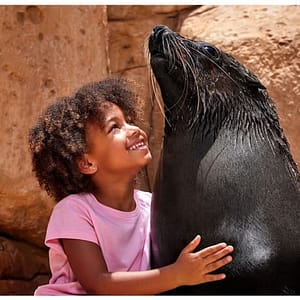 Atlas Village – Sea Lion Experiences at Atlantis The Palm, Dubai, United Arab Emirates Family Shop Online at Dubai Trades
