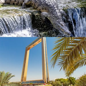 Crocodile Park Special Offer Combos – Upto 30% OFF – Attractions Special Offers Attractions Special Offers Shop Online at Dubai Trades