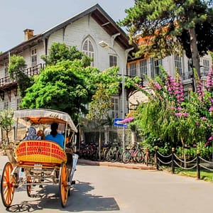 Daily Princes’ Islands Tour: Full-Day Trip in Istanbul – Sightseeing and Tours Sightseeing and Tours Shop Online at Dubai Trades