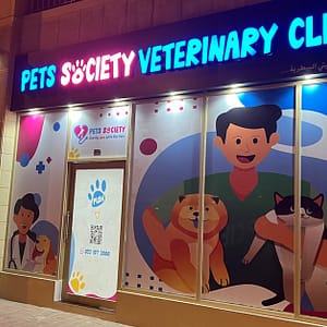 Discover Annual Vaccination, Deworming, Check-Up & More For Pets Dubai other Shop Online at Dubai Trades