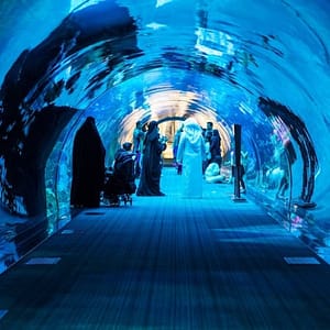 Dubai Aquarium & Underwater Zoo: All-Access Pass at Dubai Aquarium & Underwater Zoo, Dubai, United Arab Emirates Family Shop Online at Dubai Trades