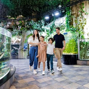 Dubai Aquarium & Underwater Zoo – Ultimate Experience – Experiences Experiences Shop Online at Dubai Trades