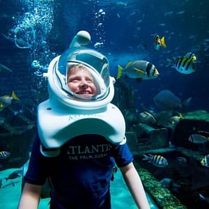 Dubai Atlantis: Aquaventure Waterpark + Shark Safari or Snorkel Experience at Aquaventure Waterpark, Dubai, United Arab Emirates Activities Shop Online at Dubai Trades