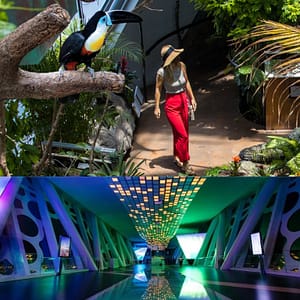 Dubai Frame + The Green Planet Dubai – Combo – Must-see attractions Must-see attractions Shop Online at Dubai Trades