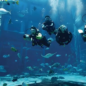 Dubai Lost Chambers Dive Discovery at The Lost Chambers Aquarium, Dubai, United Arab Emirates Activities Shop Online at Dubai Trades