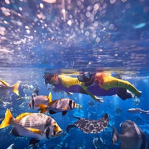 Dubai Lost Chambers Ultimate Snorkel Experience at Atlantis The Palm, Dubai, United Arab Emirates Activities Shop Online at Dubai Trades