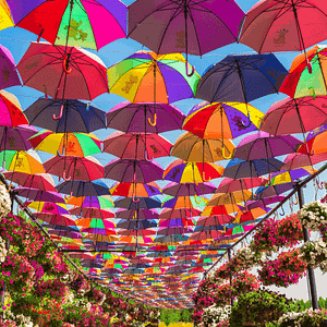 Dubai Miracle Garden – Gardens & parks Gardens & parks Shop Online at Dubai Trades