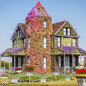 Dubai Miracle Garden at Dubai Miracle Garden, Dubai, United Arab Emirates Other Experiences Shop Online at Dubai Trades 2
