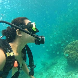 Embark On Adventure: Try Dive, Snorkeling Trip And Boat Trip Dubai activities Shop Online at Dubai Trades