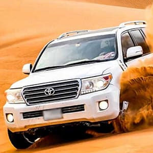 Evening Desert Safari For Up To Six People At Desert Lion Tourism Dubai package Shop Online at Dubai Trades
