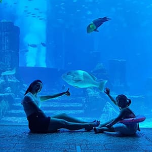 Explore Dubai’S Lost Chambers Aquarium: Tickets For One, Two, Or Four Dubai activities Shop Online at Dubai Trades
