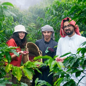 From Arabica to Arabian – Coffee Experience at a local farm – Recently Added Experiences Recently Added Experiences Shop Online at Dubai Trades