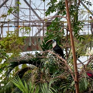 Green Planet: Dubai’s Indoor Rainforest – Skip The Line at The Green Planet, Dubai, United Arab Emirates Family Shop Online at Dubai Trades