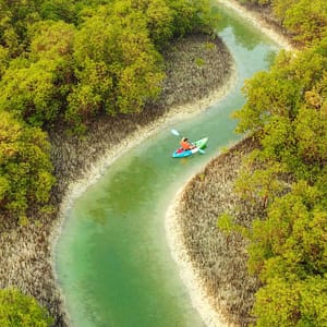 Guided Kayak Tour in the Reem Central Park Mangroves – Water Sports Travel, Activities & Events Shop Online at Dubai Trades 2
