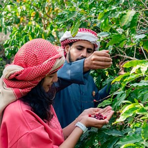 Hike with a local coffee farmer – Recently Added Experiences Recently Added Experiences Shop Online at Dubai Trades