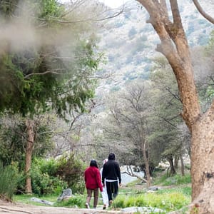 In Hike to the Ain Jamal Waterfall – Recently Added Experiences Recently Added Experiences Shop Online at Dubai Trades