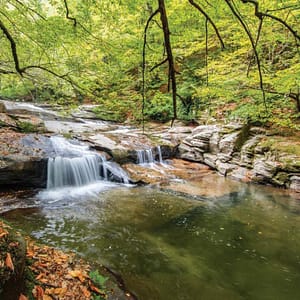 Istanbul: Day Trip to Scenic Sapanca, Masukiye and Kartepe – Recently Added Experiences Recently Added Experiences Shop Online at Dubai Trades