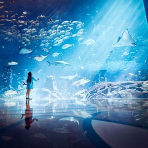 Lost Chambers Aquarium – Experiences Experiences Shop Online at Dubai Trades