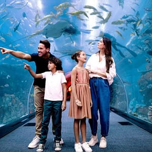 Marine Magic Awaits: Dubai Aquarium & Penguin Cove For 1, 2, Or 4! Dubai activities Shop Online at Dubai Trades