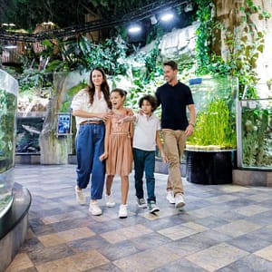 Marine Magic Awaits: Dubai Aquarium & Penguin Cove For 1, 2, Or 4! Dubai activities Shop Online at Dubai Trades