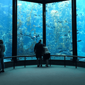 Oman Aquarium – Experiences Experiences Shop Online at Dubai Trades