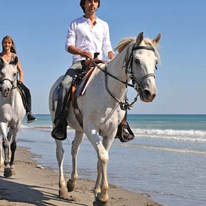 One Hour Beach Horse Riding Experiences At Al Sultan Equestrian Club Abu Dhabi activities Shop Online at Dubai Trades