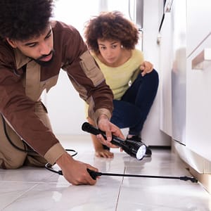 Pest Control Treatment For Kitchen, Bedroom, Living Room, Studio Flat Dubai other Shop Online at Dubai Trades