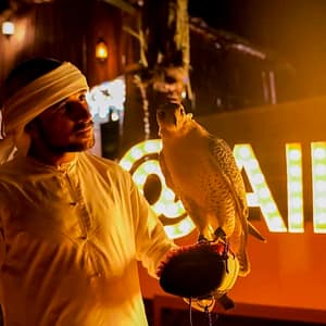 Premium Desert Safari: Camel Ride, Falconry, and BBQ Dinner at Dubai Mall, Dubai, United Arab Emirates Activities Shop Online at Dubai Trades