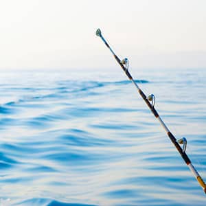 Private fishing boat tour – Sightseeing and Tours Sightseeing and Tours Shop Online at Dubai Trades