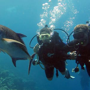 Scuba Diving Experience Dubai activities Shop Online at Dubai Trades