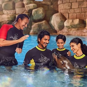 Sea Lion Experiences at Atlantis The Palm – Water Parks Travel, Activities & Events Shop Online at Dubai Trades
