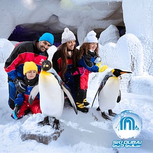 Ski Dubai: Snow Premium with Penguin Encounter + Free Al Shindagha Museum Ticket – Must-see attractions Must-see attractions Shop Online at Dubai Trades