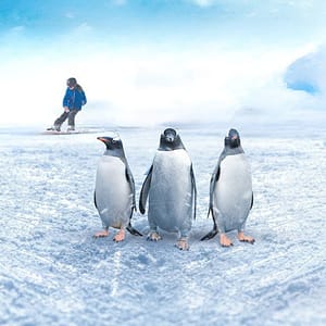 IMG Worlds of Adventure + Free Crocodile Park – Indoor Attractions Indoor Attractions Shop Online at Dubai Trades 3